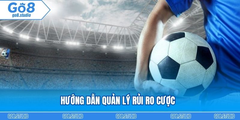 Hướng dẫn quản lý rủi ro cược