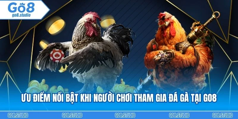 Ưu điểm nổi bật khi người chơi tham gia đá gà tại go8